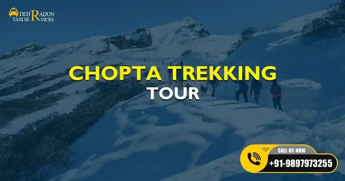 Chopta Trekking
